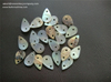 2h Square Agoya Natural Shell Button