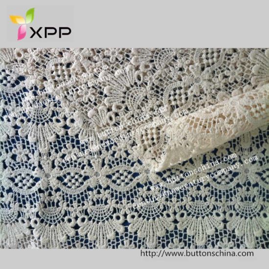 Fashion Beautful Embroidry Webbing Fabric Lace for Cloth