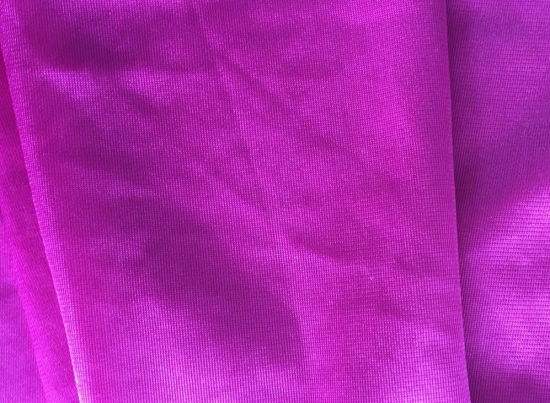Nylon Fabric Mesh Fabric Dyeable