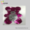 Sequin Hot Fix Design