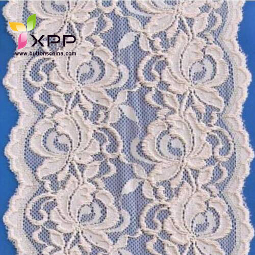 New Style Beautful Nylon Webbing Fabric Lace for Cloth