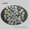 Agoya Shell Button